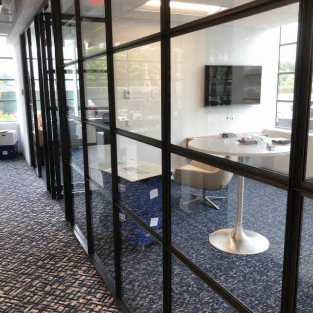 Industrial Demountable Glass Wall Partitions for and Investment Advisors Firm (5)
