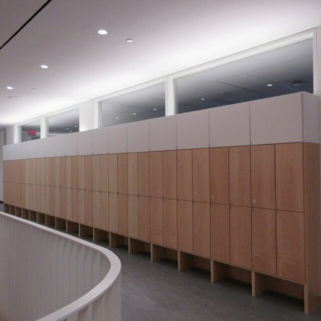 Lockers for a Private School (3)