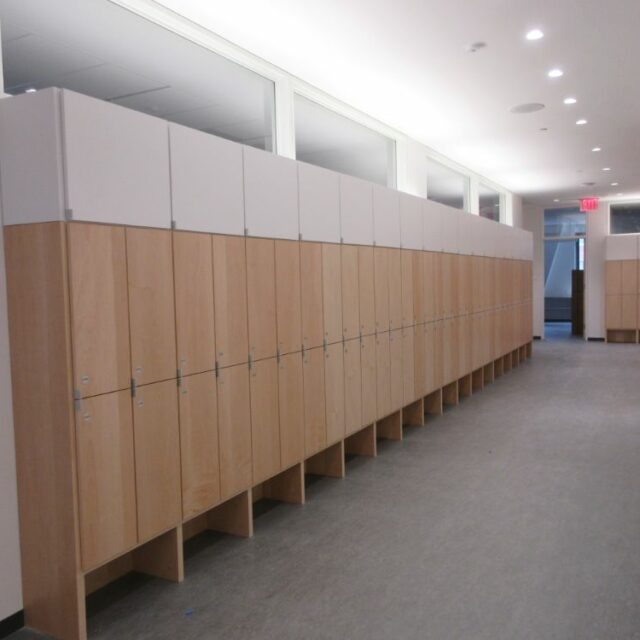 Lockers for a Private School (4)
