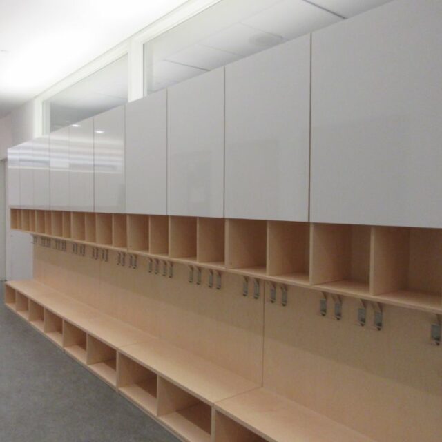 Lockers for a Private School (5)