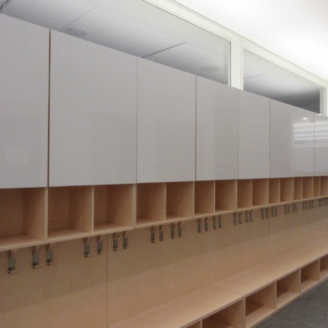 Lockers for a Private School (6)
